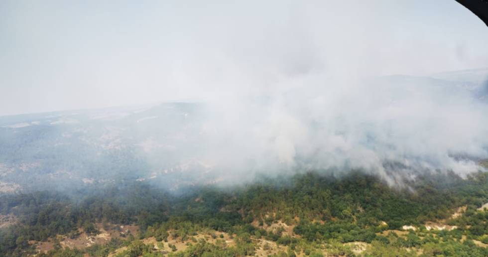 Κάηκε ήδη το 12% της περιοχής Natura στη Δαδιά