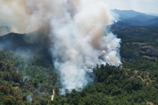 Τέταρτη μέρα καταστροφής στην «προστατευόμενη» Δαδιά – Αναζωπυρώσεις στη Λέσβο