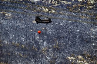 Καίγεται η «καρδιά» του Εβρου