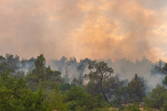 Φωτιές… ανάβει το κυβερνητικό θράσος για τις ευθύνες