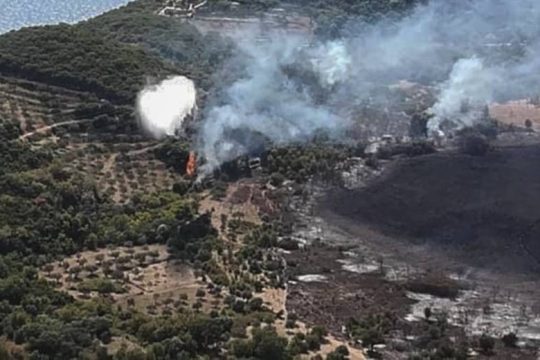 Αναζωπυρώσεις στο μεγάλο μέτωπο της Φωκίδας, καλύτερη η εικόνα στο Κρανίδι