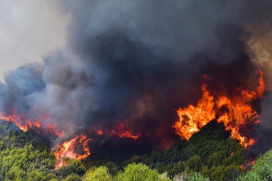 Πύρινα μέτωπα σε Ηλεία και Έβρο, εκκενώνεται οικισμός