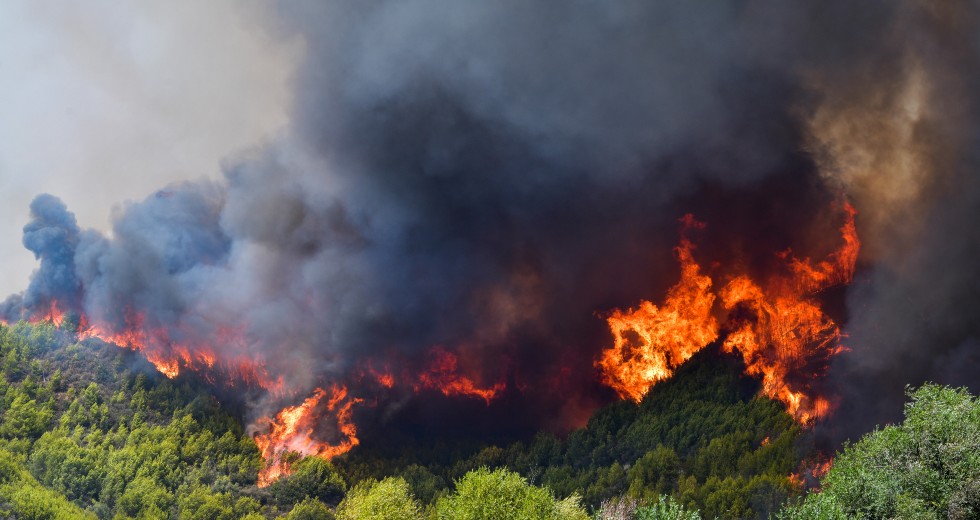 Πύρινα μέτωπα σε Ηλεία και Έβρο, εκκενώνεται οικισμός