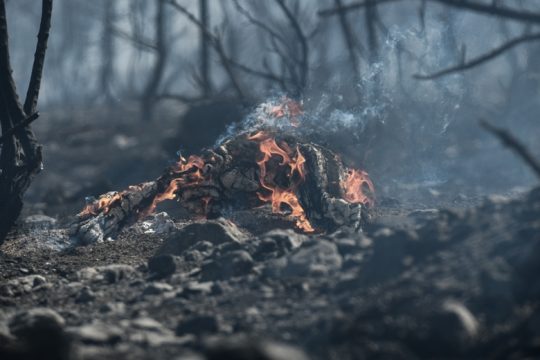Ο «στρατηγός άνεμος» βγήκε ξανά στην επιφάνεια