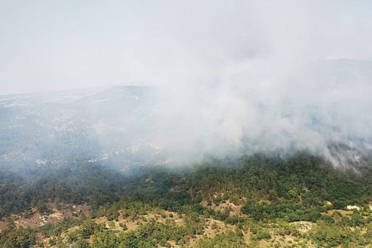 Ανεξέλεγκτη ακόμα η φωτιά στο Σουφλί, ανυπολόγιστη η οικολογική καταστροφή