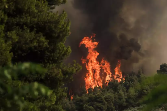 Γρεβενά: πυρκαγιά απειλεί και το εθνικό πάρκο βόρειας Πίνδου, τη Βάλια Κάλντα