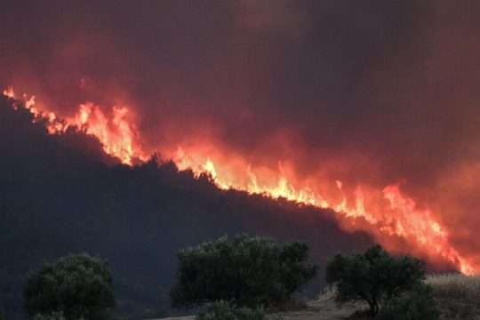 Στις στάχτες θάφτηκε η αντιπυρική προστασία