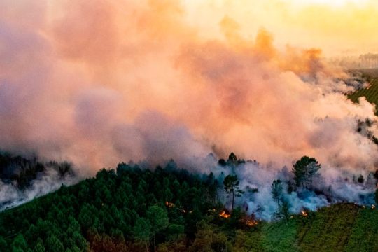 Η Ευρώπη «φλέγεται»: χιλιάδες έφυγαν από τα σπίτια τους, εκατοντάδες οι νεκροί