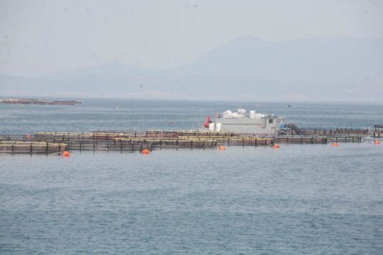Τον Δεκέμβριο η δίκη για τον θάνατο Kρητικού δύτη στη Ρόδο