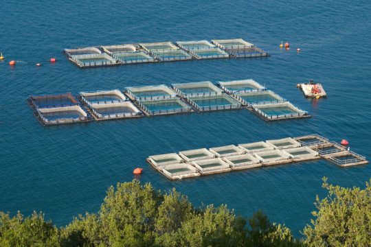 Στον δρόμο προς την πράσινη μετάβαση