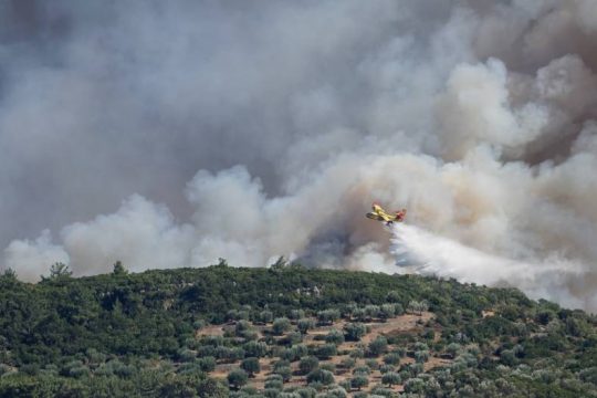 Ναπάλμ στη Βάστρια;