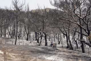 Μέτρα για τους πυρόπληκτους στη Λέσβο