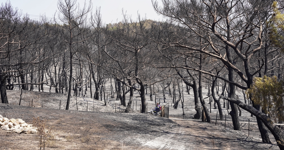 Μέτρα για τους πυρόπληκτους στη Λέσβο