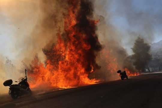 Καλύτερη εικόνα σε Μέγαρα και Σαλαμίνα – Αγωνία για αναζωπυρώσεις