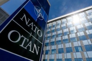Μύγες και μυγοπαγίδες