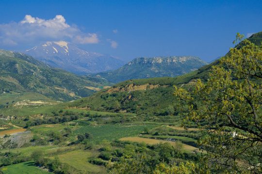 Ζώνες προστασίας επιχειρηματιών από τη… Φύση