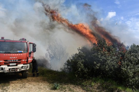 Μάχη με τις φλόγες στην Πηνεία Ηλείας – Τραυματίας πυροσβέστης