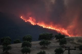 Διαδήλωση ενάντια στην «κυβέρνηση των εμπρηστών»