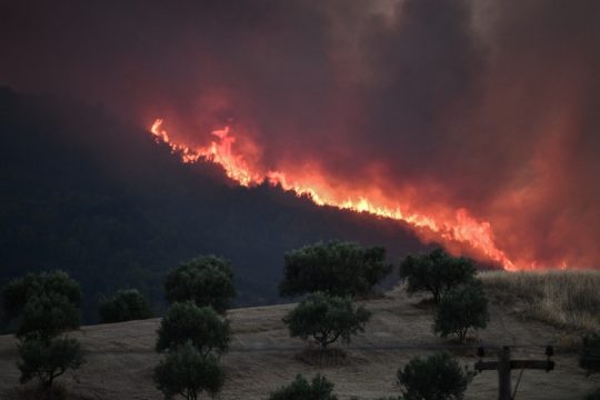 Στη φυλακή ο κατηγορούμενος για τον εμπρησμό στα Άγναντα Ηλείας