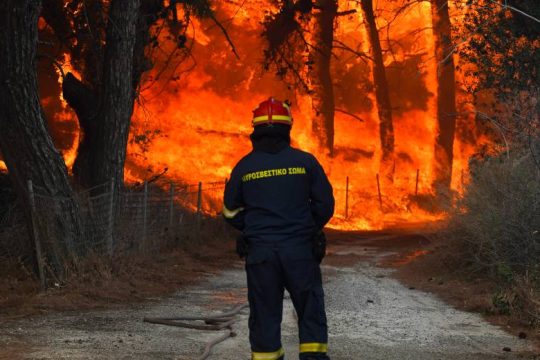 Ολονύχτια μάχη με τις φλόγες σε Δαδιά Έβρου, Βατερά Λέσβου και Μεσσηνία