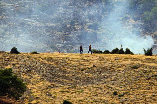 Σε κατάσταση έκτακτης ανάγκης Δαδιά, Προβατώνας, Λύρα και Λευκίμμη