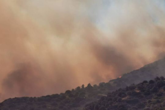 Ενισχύσεις από την Αττική στο πύρινο μέτωπο της Σάμου