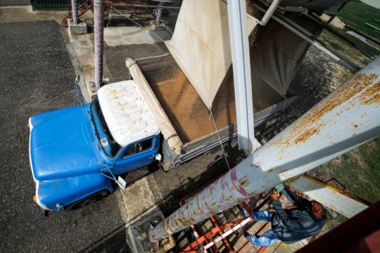 Βήματα προσέγγισης μεταξύ Ρωσίας και Ουκρανίας για τα σιτηρά