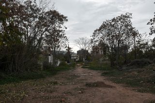 Το «Πεύκο Πολίτη» στο Χαλάνδρι και οι πιέσεις