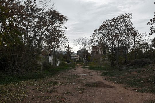 Το «Πεύκο Πολίτη» στο Χαλάνδρι και οι πιέσεις