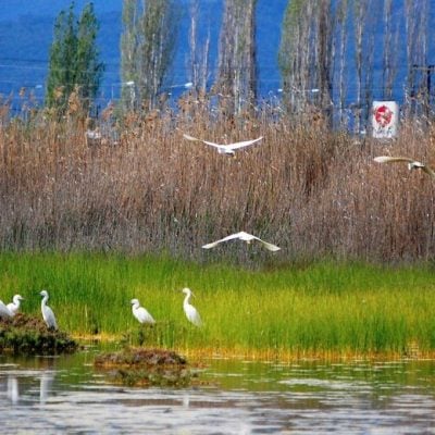 Αντί προστασίας, τους άλλαξαν τα φώτα…