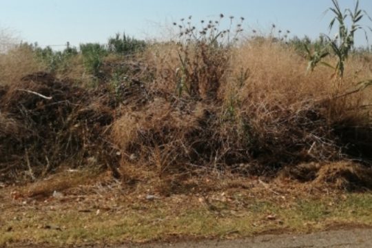 Κίνδυνος πυρκαγιάς από ξερόχορτα στον Δήμο Οιχαλίας