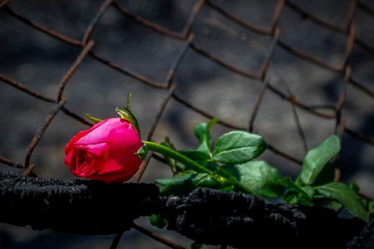 Οκτώβριο ξεκινά η δίκη για το Μάτι