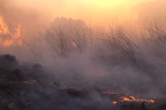 Η φωτιά στα δάση δεν σβήνει με ευχολόγια, αλλά με βούληση και ιδέες