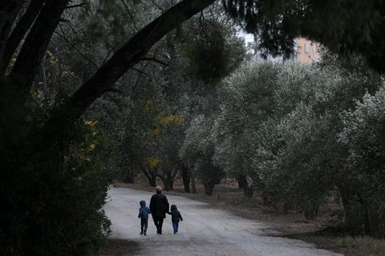 Ερώτηση στη Βουλή για την αποψίλωση στο Αλσος Συγγρού