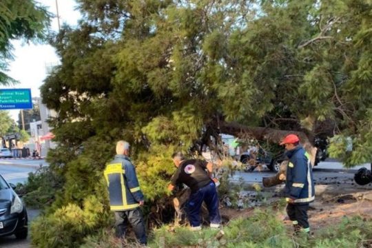 Ηράκλειο: Σε απολογία ο προϊστάμενος πρασίνου μετά το δυστύχημα