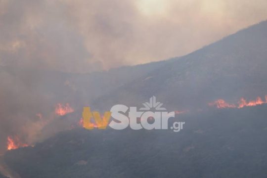Ολονύχτια μάχη με τις φλόγες σε Δομοκό και Πηγές Γριάς Βάθρας
