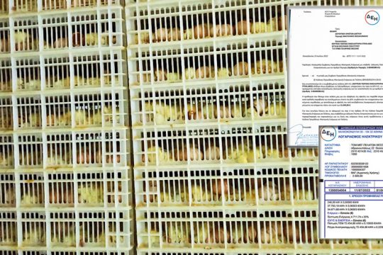 Εγχειρίδιο επιχειρηματικής καταστροφής