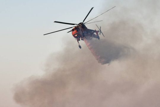 Πυρκαγιά σε αγροτοδασική έκταση στο Άγιο Όρος
