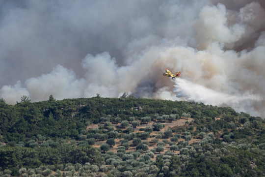 Συνελήφθη κτηνοτρόφος για τις τελευταίες φωτιές στη Θάσο