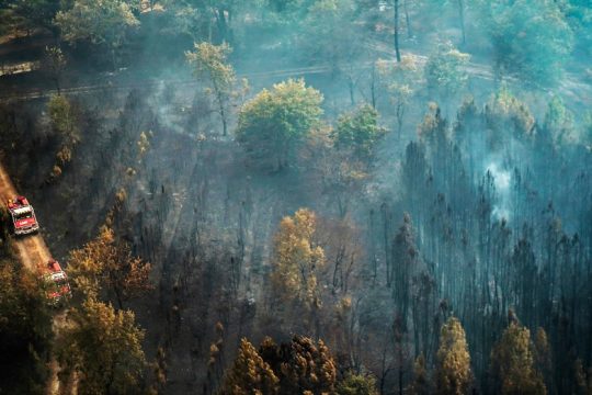 Σταμάτησε να εξαπλώνεται η φωτιά-«τέρας» στη Γαλλία