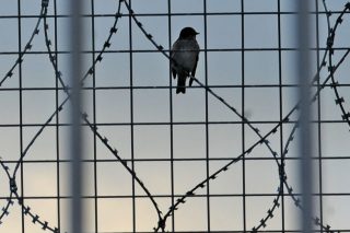 «Τρομοκράτης» χωρίς κανένα στοιχείο