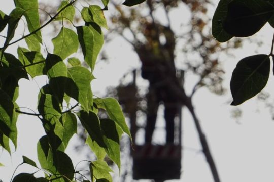 Ακόμα ένας θάνατος εργαζόμενου στους ΟΤΑ