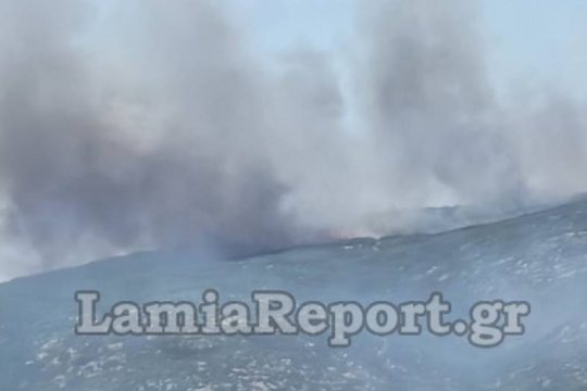 Μεγάλες διαστάσεις έχει πάρει το πύρινο μέτωπο στο Πετρωτό