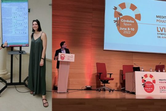 Διεθνής Διάκριση για την ΠΙΝΔΟΣ στο πλαίσιο επιστημονικής έρευνας του Πανεπιστημίου Ιωαννίνων