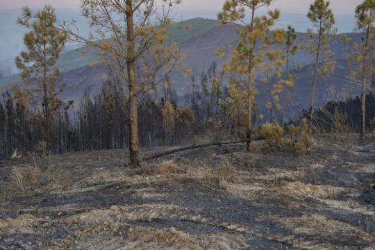 Σε έκτακτο συναγερμό η Πορτογαλία ενόψει τρίτου σφοδρού καύσωνα