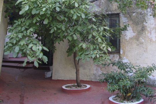 Οι δρίμες του Αυγούστου