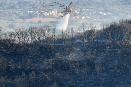 Πυρκαγιά στην Κέρκυρα – Μήνυμα του 112 για απομάκρυνση από τα Βασιλικά