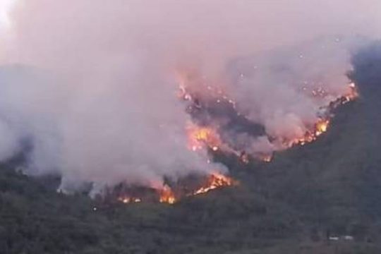 Μαίνεται η πυρκαγιά στη Θάσο, εντολή για προληπτική εκκένωση των Κοινύρων