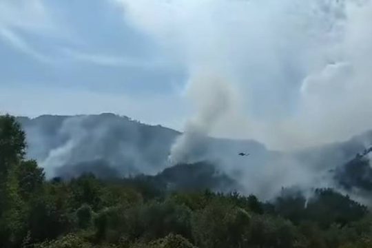 Υπό έλεγχο ξανά η φωτιά στη Θάσο, φόβος για αναζωπυρώσεις