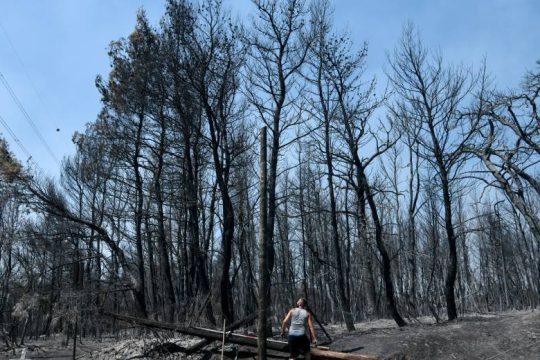 Ένας χρόνος από την καταστροφική πυρκαγιά στη Βαρυμπόμπη και «δεν έχει αλλάξει τίποτα»